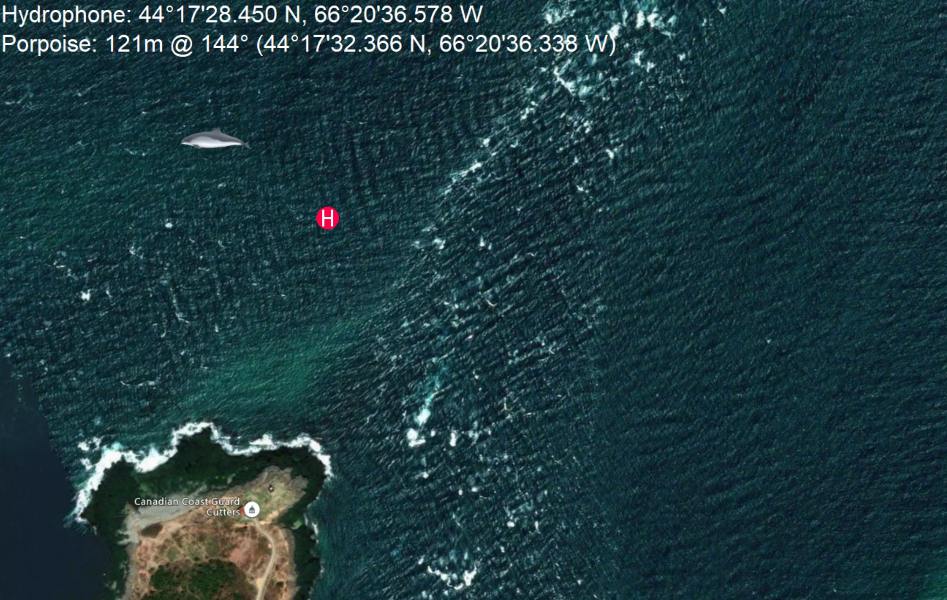 Harbour Porpoise Map